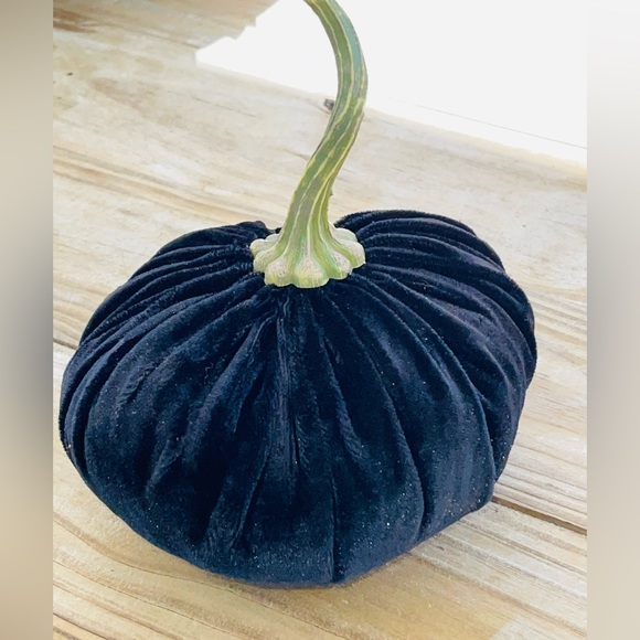 Pumpkin Velvet Decoration color black Weighted(0.11.3oz) 8"x 8” New without tag - Picture 4 of 15